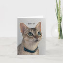 Sök efter tom katt kort För alla