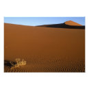 Sök efter namib posters Orange