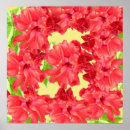 Sök efter röd hibiskus posters Blommor