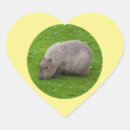 Sök efter capivara Djur