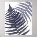 Sök efter fern posters Snyggt
