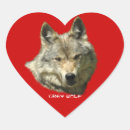 Sök efter varg huvud klistermärken Grått varger