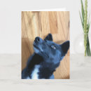 Sök efter roliga ansikten kort För alla