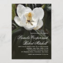 Sök efter magnolia fotografi Vit