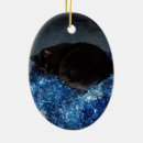Sök efter god julkatt Djur