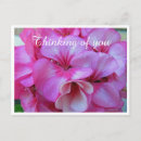 Sök efter thinking of you vykort Blommigt