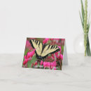 Sök efter hjärtablomma Swallowtail