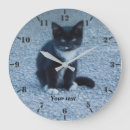 Sök efter tuxedo konst Kattunge