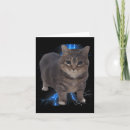 Sök efter anti cat kort Politik skjorta