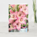 Sök efter gladioluses kort Blommigt