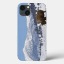 Sök efter däggdjur ipad skal Vild