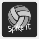 Sök efter spikat klistermärken Volleybolllag