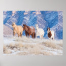 Sök efter shell posters Ranch