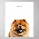 Sök efter chow posters Söt
