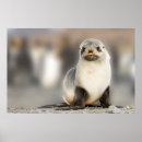 Sök efter vilt posters Baby djur