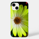 Sök efter orange daisy iphone fodral Foto