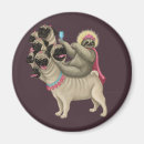Sök efter baksida magneter Pug