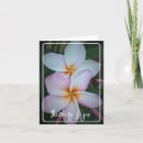 Sök efter plumeria Rosa plumeria