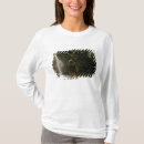 Sök efter molnskog Frodig