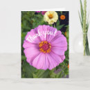 Sök efter zinnias kort För alla