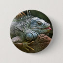 Sök efter leguan accessoarer Människor (allmänt)