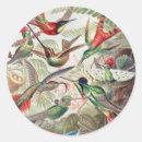 Sök efter trochilidae Ernst haeckel