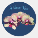 Sök efter orchids klistermärken Människor (allmänt)