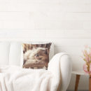 Sök efter ragdoll heminredning Kattunge