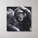 Sök efter primat canvastryck Gorilla