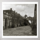 Sök efter yucatan posters Fotografi