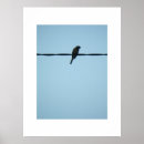 Sök efter händelser posters Natur