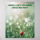Sök efter ladybug fotografi Makrofotografi