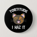 Sök efter haz Katt