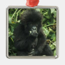 Sök efter gorilla julgransprydnader Vild