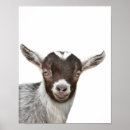 Sök efter get posters Barn (allmänt)