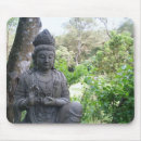 Sök efter budda Natur