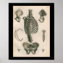 Sök efter bock posters Vintage