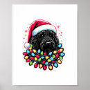 Sök efter labradoodle posters Varg
