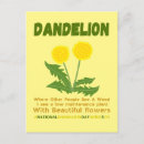 Sök efter ogräs vykort Dandelion