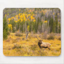 Sök efter colorado musmattor Älg