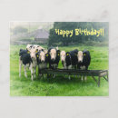 Sök efter roliga kor kort Djur