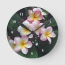Sök efter rosa plumeria konst Frangipani