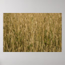 Sök efter soja posters Sommar