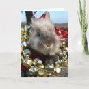 Sök efter lionhead Fotografi