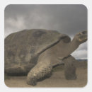 Sök efter galapagos klistermärken Vilda djur