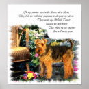 Sök efter welsh terrier Sällskapsdjur