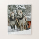 Sök efter sleighritt Snö