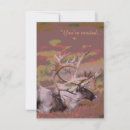Sök efter caribou Hjort