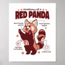 Sök efter pandas posters Röd panda
