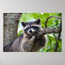 Sök efter bandit posters Natur